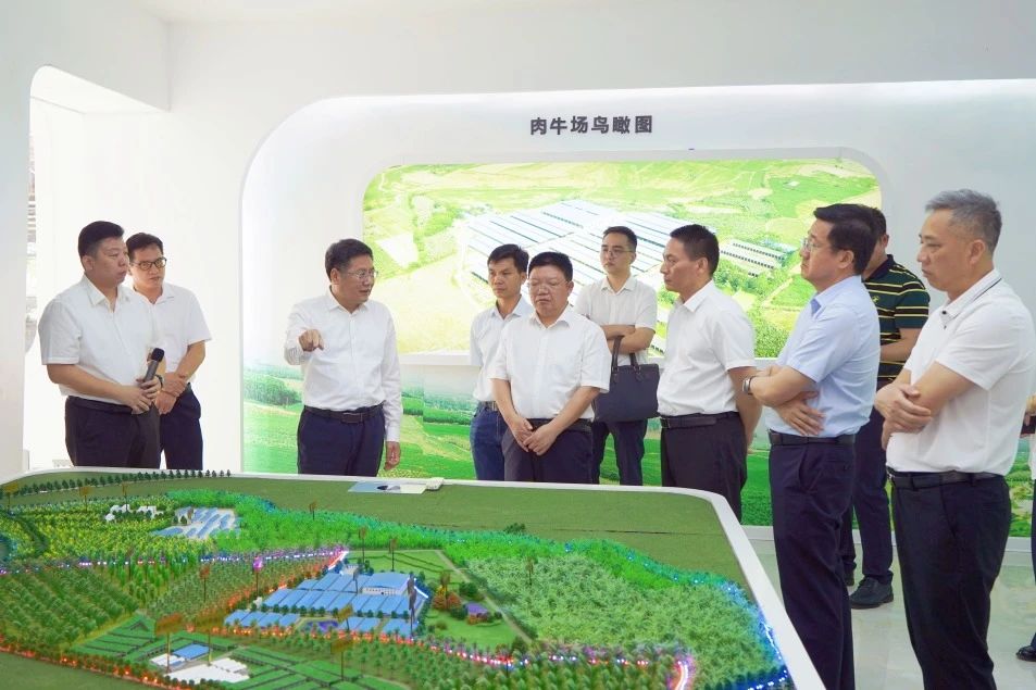 谭良良罗掌华带队到金光农场公司召开现场专题会